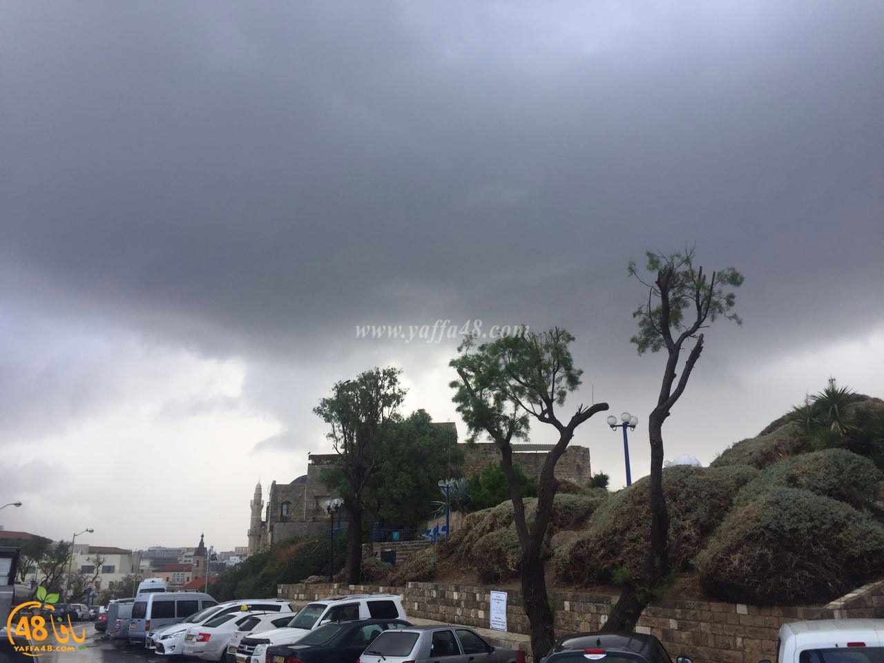 yaffa clouds3j (9).jpg